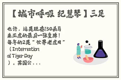 抖音奶片原视频